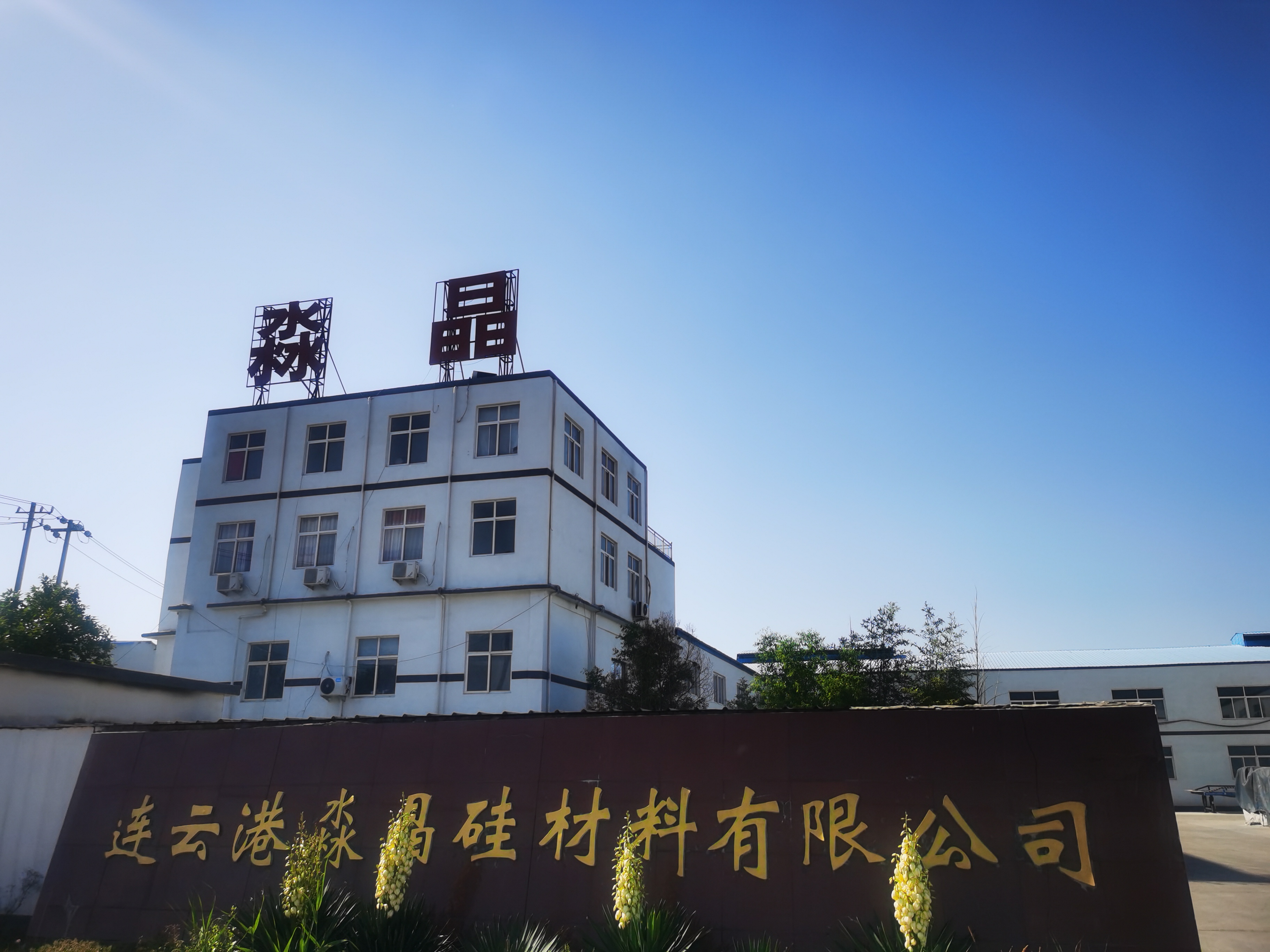 企業(yè)優(yōu)勢(shì)